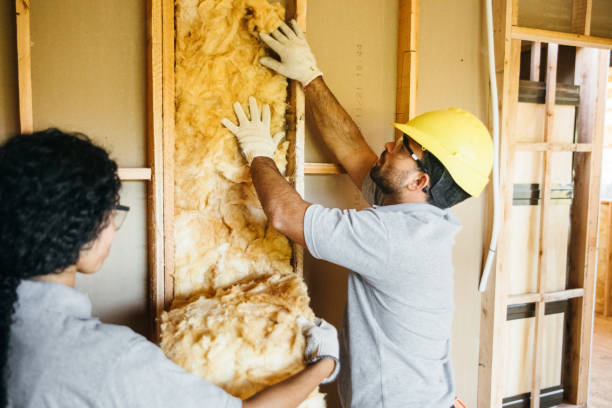 Best Insulation Replacement Services  in Snohomish, WA